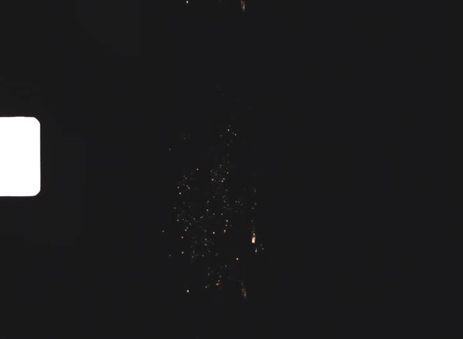 Fireworks light up the night sky