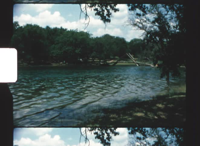 A static shot of a wide river or lake on a bright sunny day framed by dark tree branches with dense green woods lining the opposite shore under a blue sky with white clouds