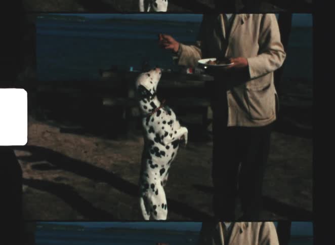 A man giving a treat to a dog out in a field at midday