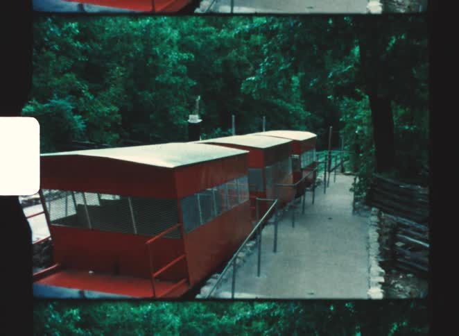 Red inclined rail car moves along path surrounded by dense foliage and side fences