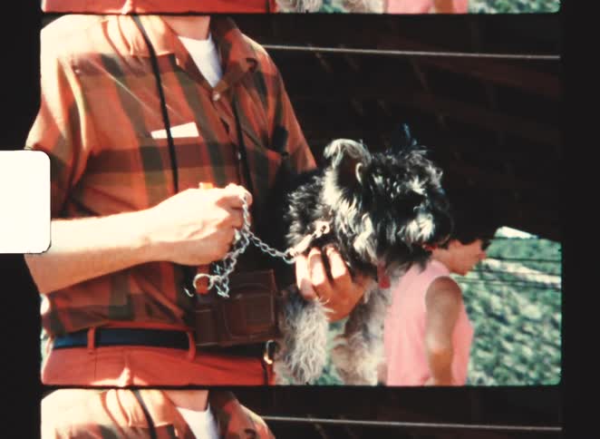 The man is holding his small dog