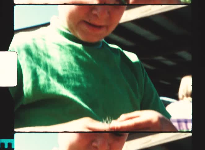 Boy hands covered in thorns