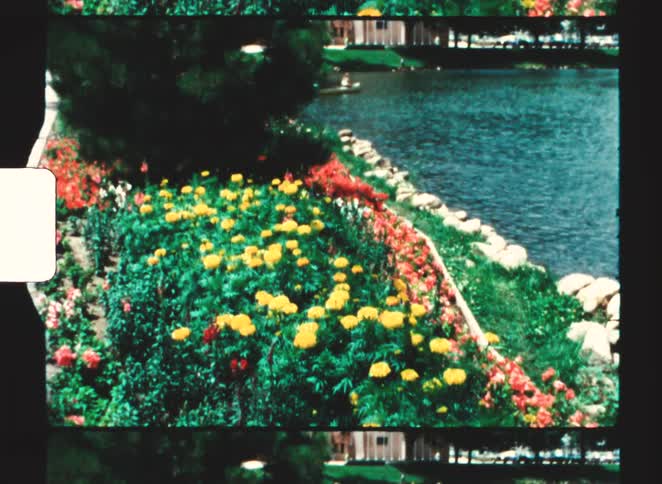 A riverbank lined with grasses and colorful flowering plants with rocks placed as a barrier to protect the soil from the river at midday