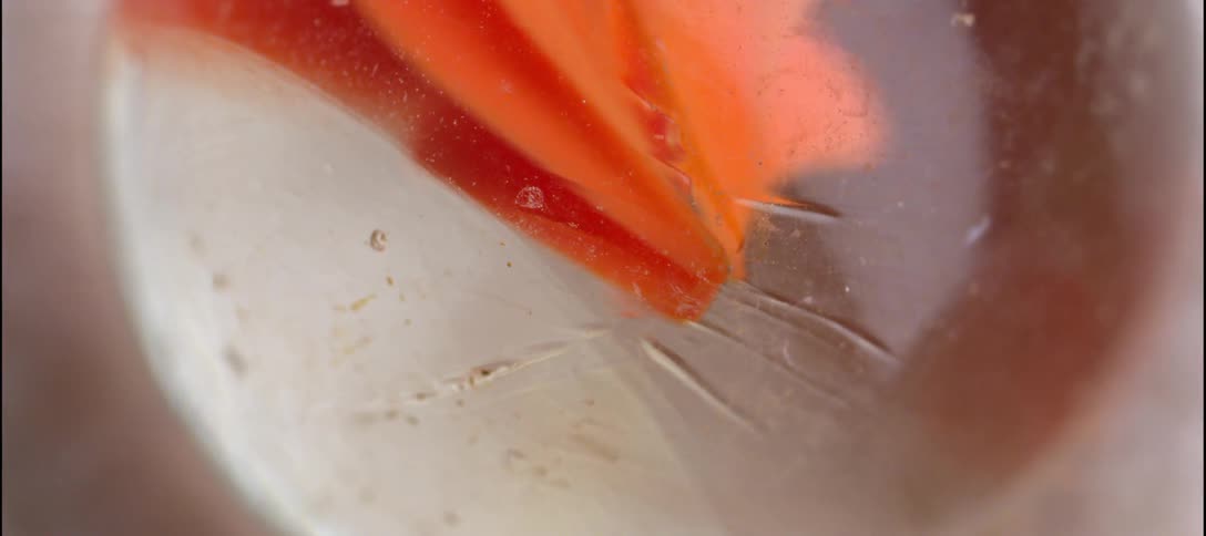 An extreme closeup captures the intricate details and vibrant orange swirls inside a scuffed and scratched glass marble
