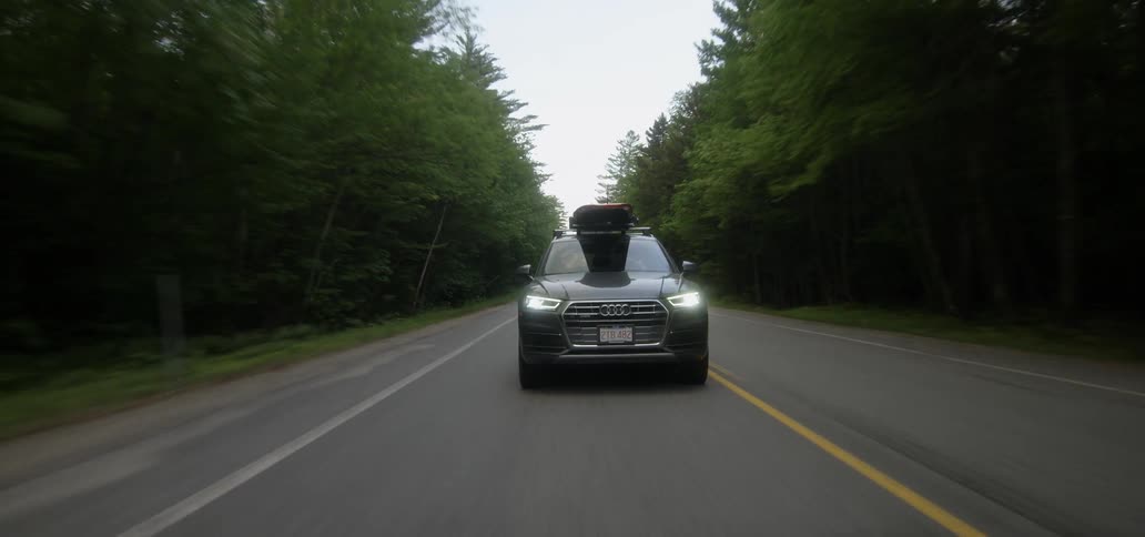 A car drives on a tree-lined road