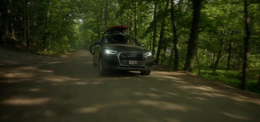 A vehicle drives through a forest