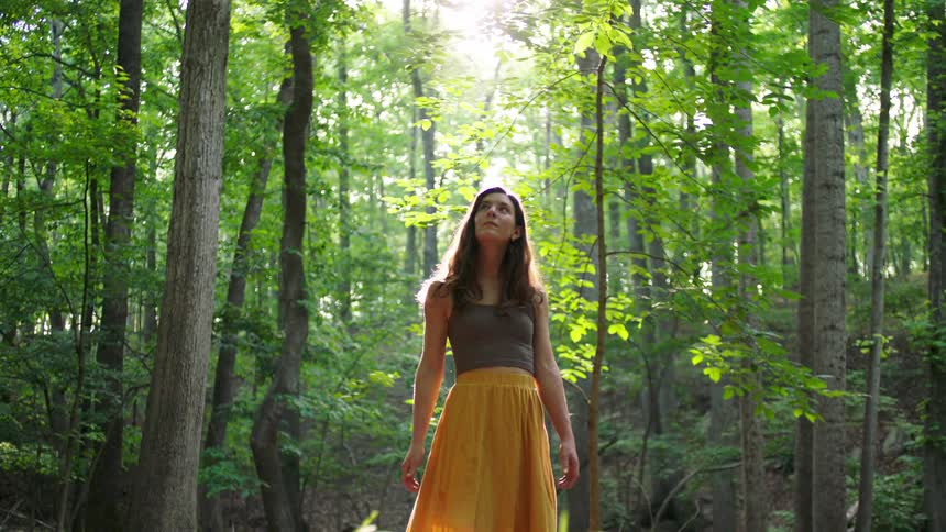 Woman walking through a forest with tall trees wearing a yellow dress under natural light