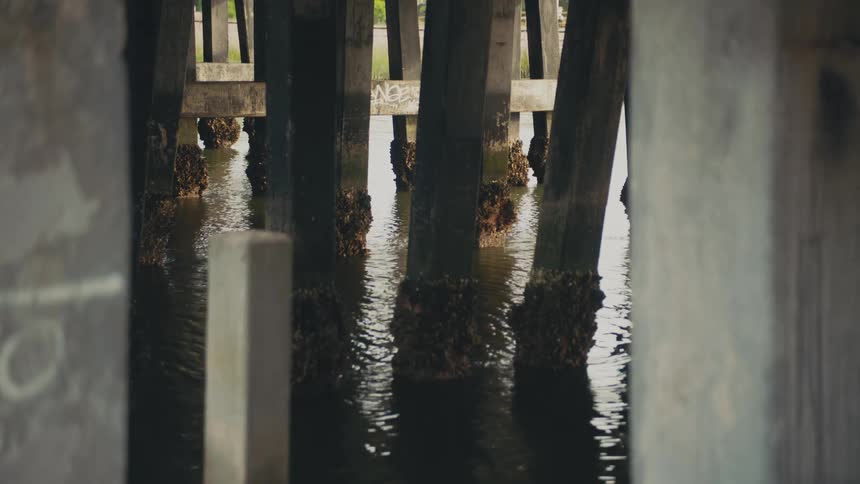 A wooden bridge with wooden support beams covered in barnacles
