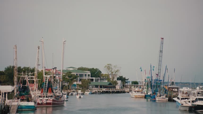 A view of some boats outdoors