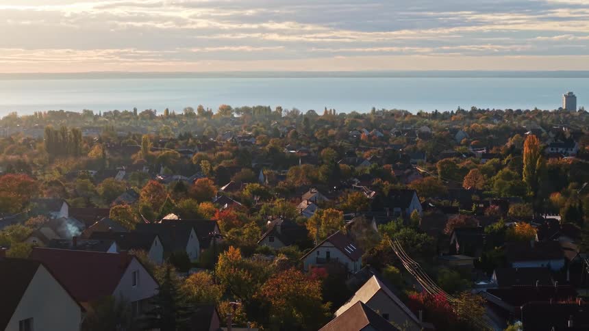 Trees are around the homes in the suburb