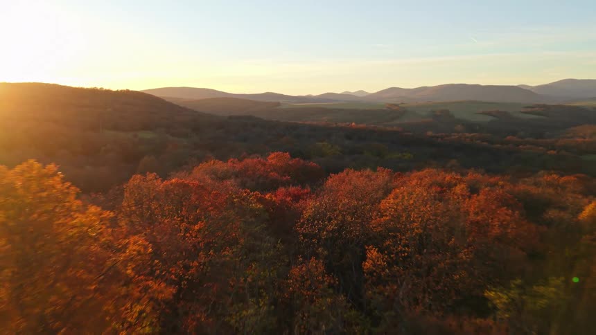 A forest filled with trees changing color in the fall with a mountain range lining the background with the setting sun in the sky