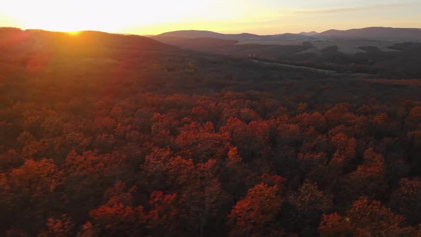 The sun is rising on the forests
