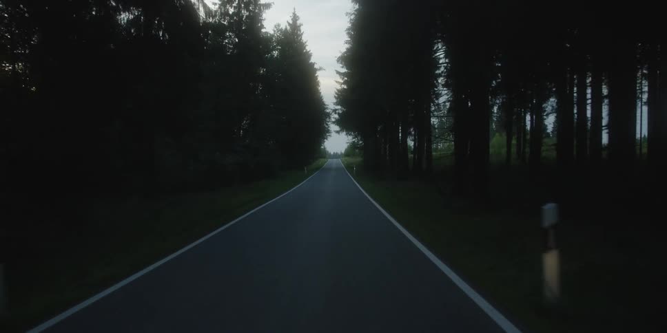 A vehicle driving along a narrow road at sunset with tall trees lining both sides of the road