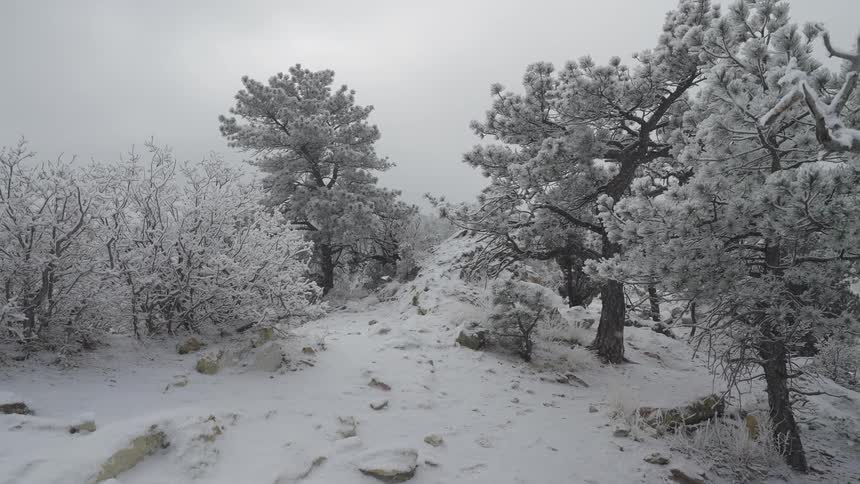 A snowy landscape
