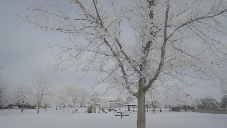 Snowcovered park with frozen trees and recreation structures in the background