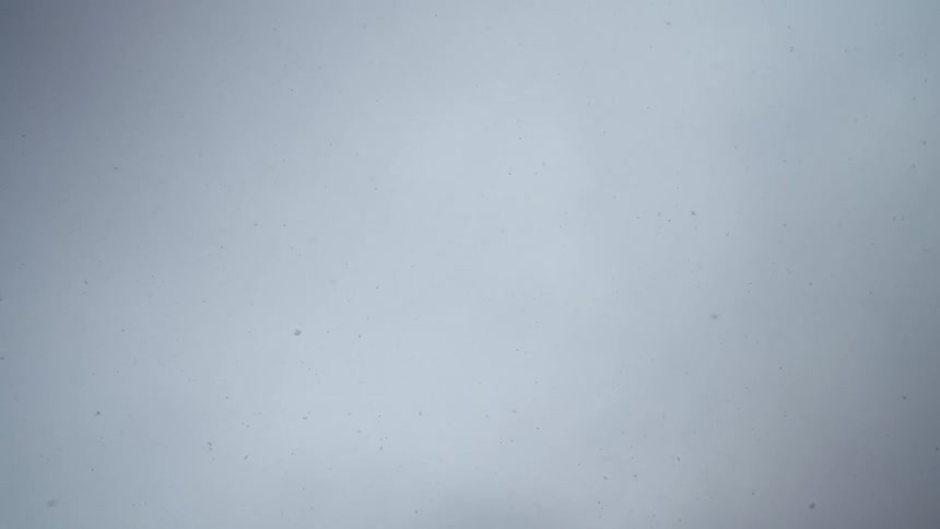 Snowflakes fall rapidly against an overcast sky