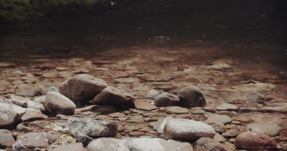 Scattered stones in a stream bed with shallow water and visible bottom