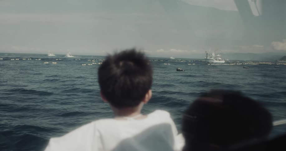 A child looking over an ocean