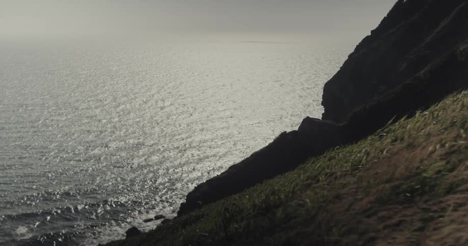 Steep vegetationcovered slope descends to sunlit ocean