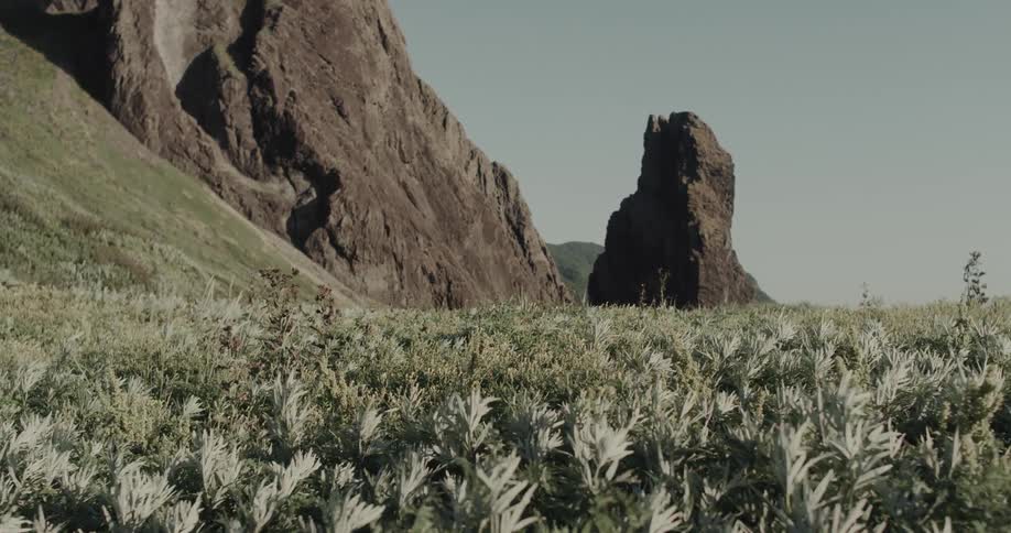 A field of light colored low lying vegetation fills the foreground beneath massive dark rock formations under a pale sky