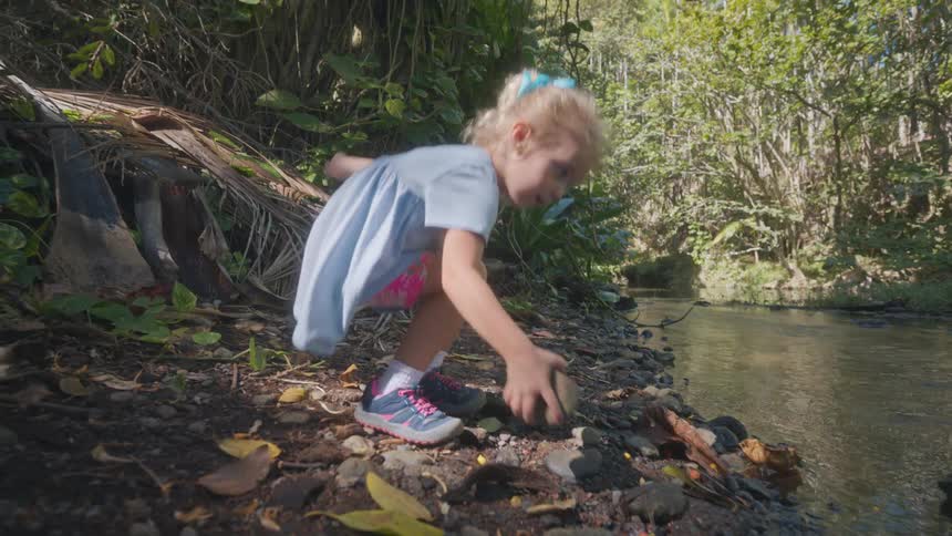 A child playing in a forest near a river