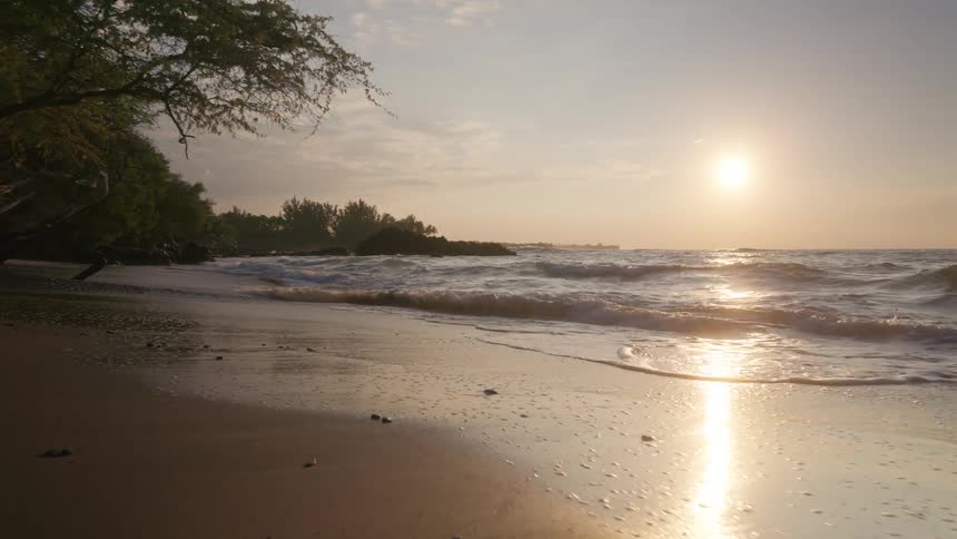 Waves rolling in and breaking along the coastline at sunset with a line of trees silhouetted against the warm sky