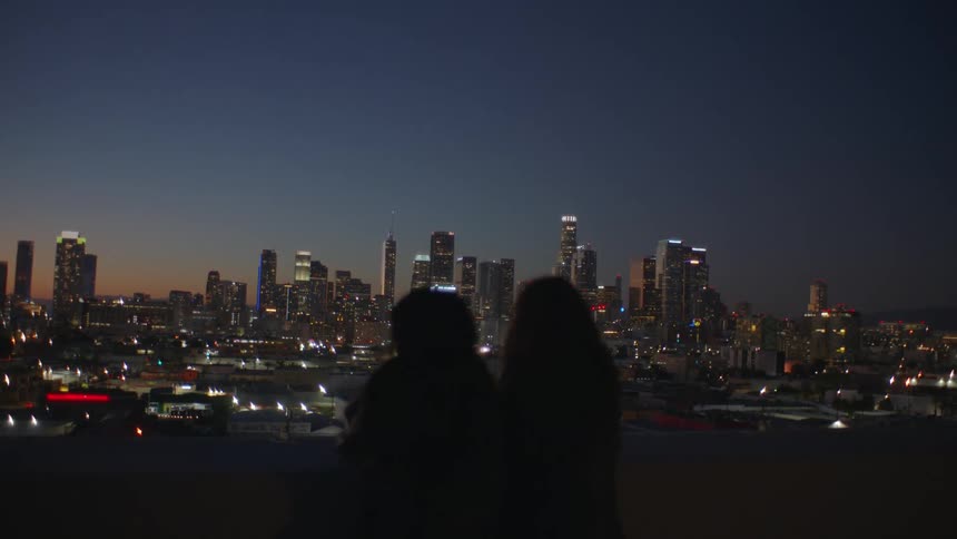 Persons overlook litup city at dusk from elevated platform