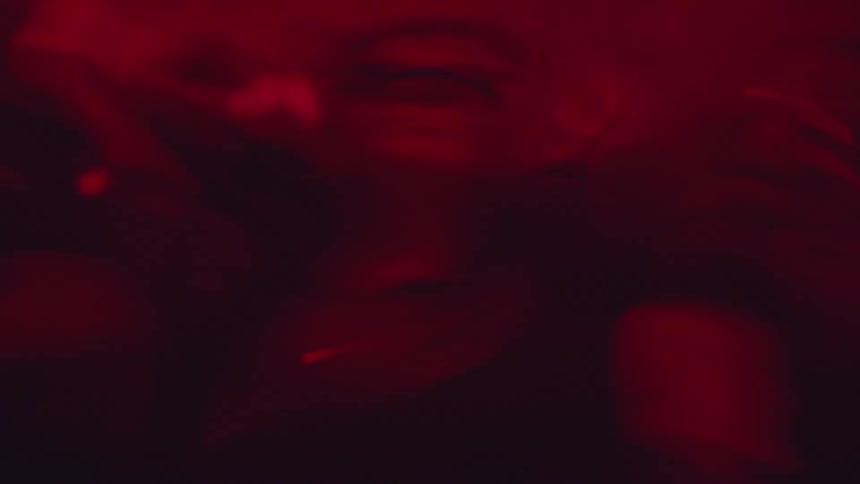 A nightclub packed with people dancing the atmosphere shifting as the lights transition from deep red to vibrant blue creating an energetic and electric mood across the crowd