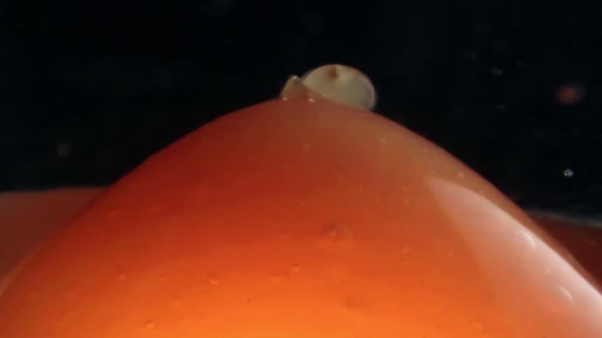 Orange liquid forming a dome with small bubbles against a dark background