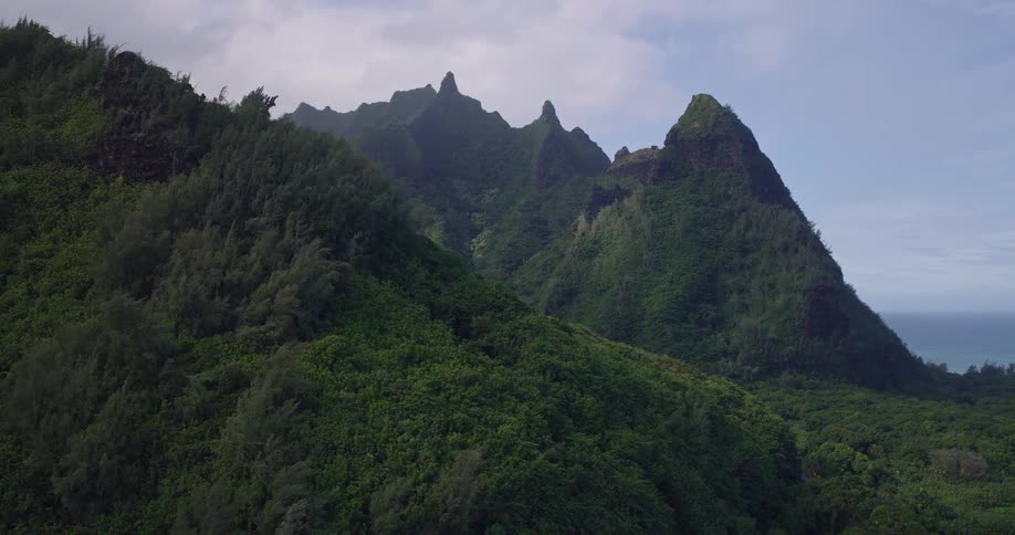 Forested mountains along the coast under a cloudy sky