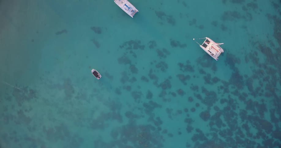 An aerial topdown view shows several boats anchored in clear turquoise water above a rocky coral reefthe camera slowly pans across the ocean surface revealing the detailed textures of the underwater reef formation