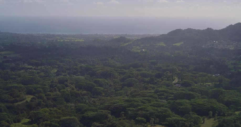 Aerial view of forests and mountains under a hazy sky