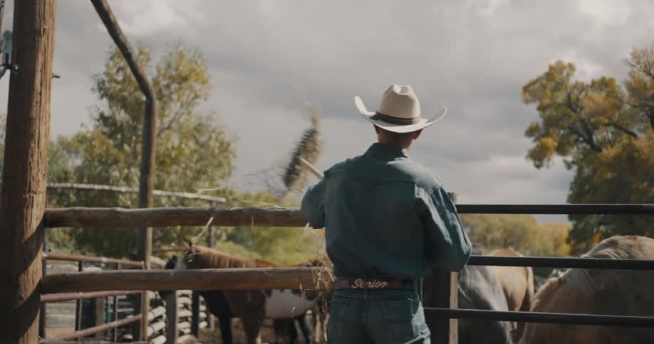 A cowboy wearing a senior belt buckle stands at a wooden fence and uses a pitchfork to toss hay into a corral where several horses are gathered under a cloudy sky with autumn trees in the background