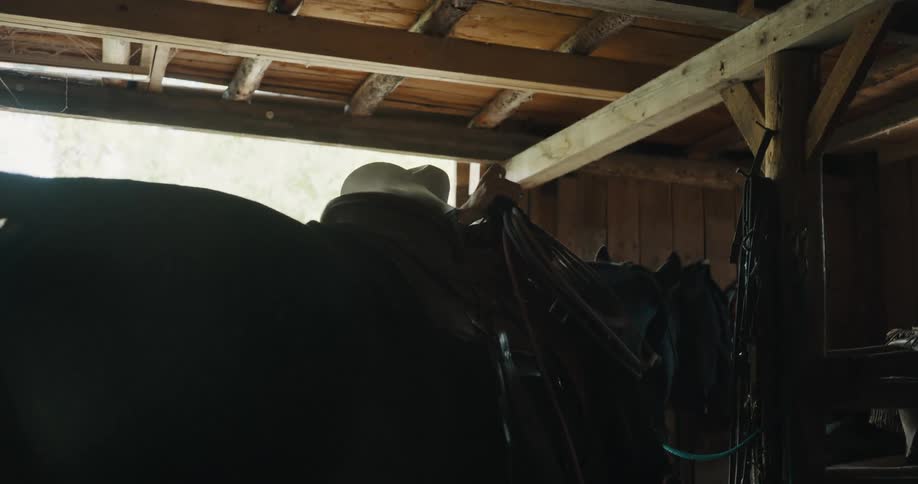 Young adult man saddling a horse at a stable indoors during day time