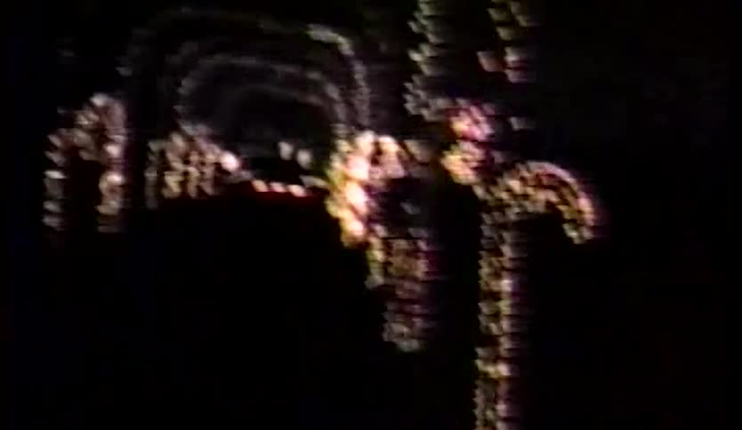 A series of christmas lights glows in the garden at night forming a bright winding path