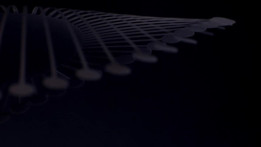 The video shows a dark abstract digital animation featuring thin elegant structures that resemble a microscopic view of biological or synthetic fibersa series of curved white skeletal ribs fan out across a deep black void ending in rounded nodes th