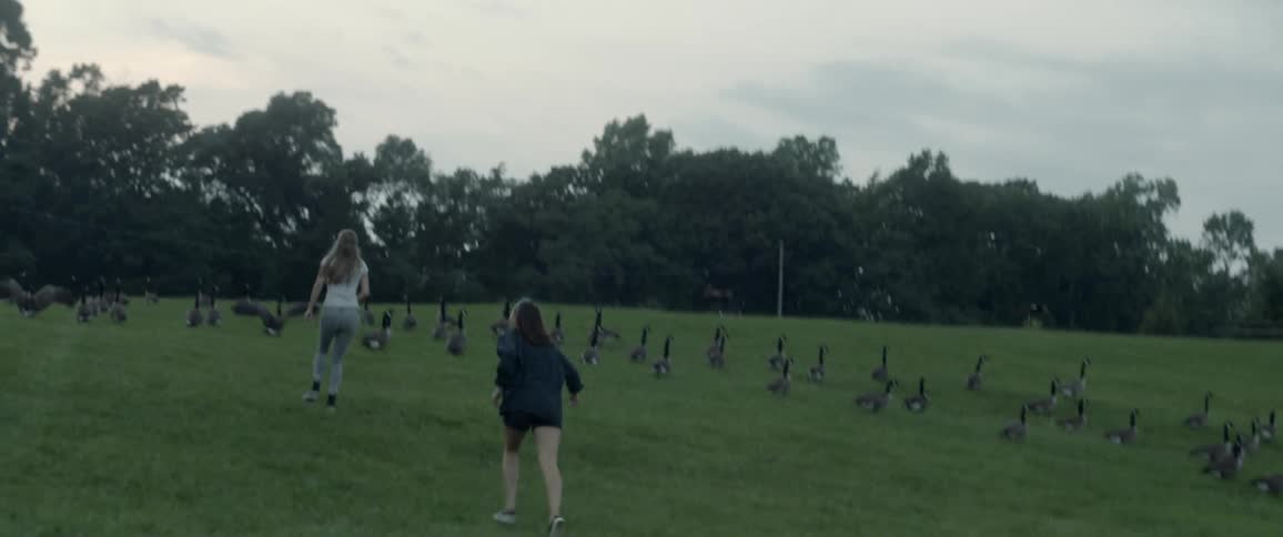Two women run towards some geese on the field