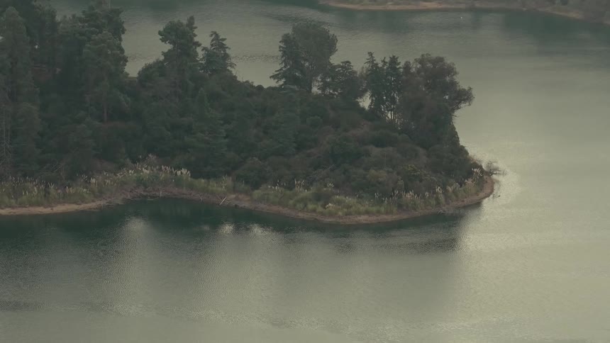 Forested island surrounded by calm waters
