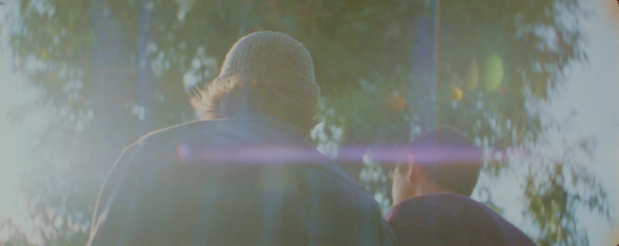 People standing side by side under trees with sunlight streaming from behind