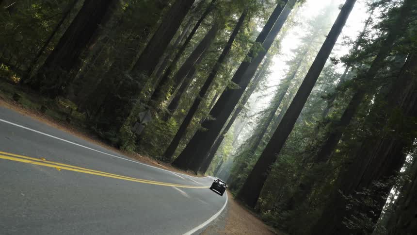 Car driving on forest highway