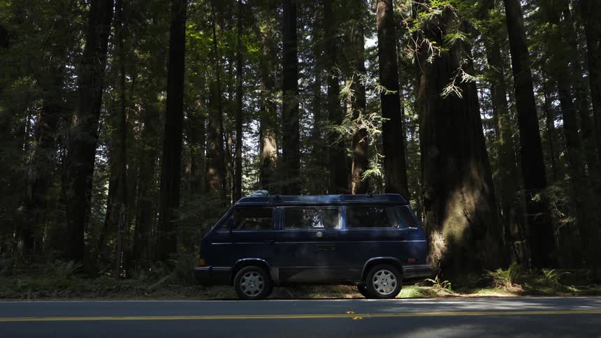 A van is parked in the forest