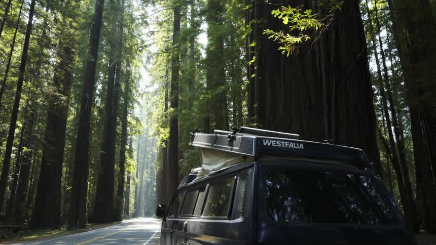 A camper is parked in a forest with tall trees