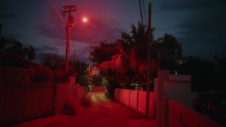 A warm red streetlight casts a soft glow over the road at night with trees lining both sides of the street