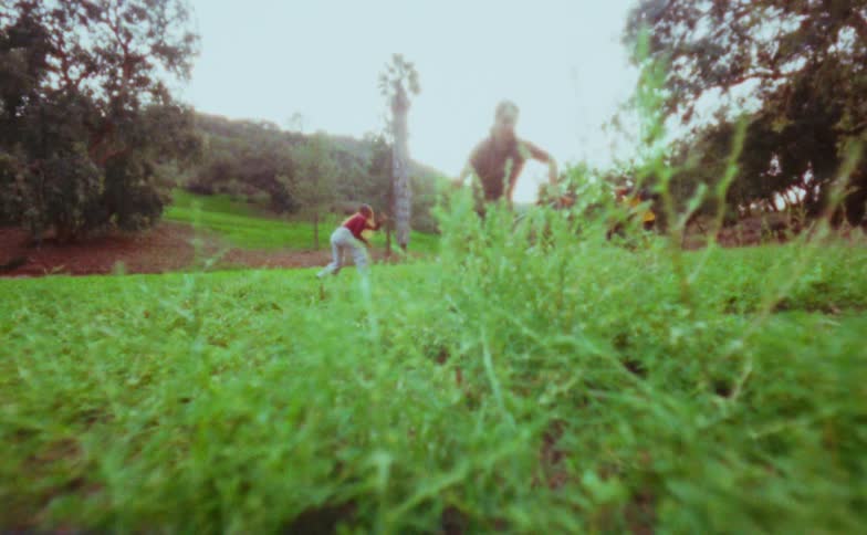 People perform dance movements in an open grassy area during daylight