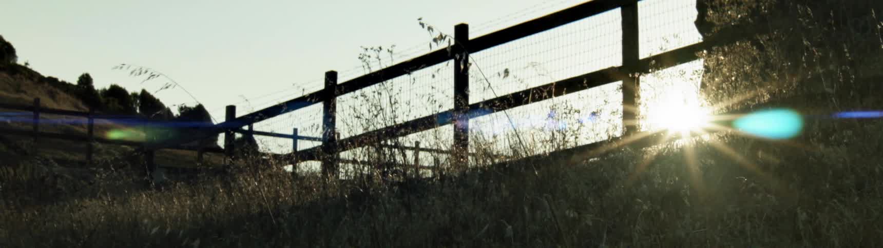 The wind is blowing the grass near this fence
