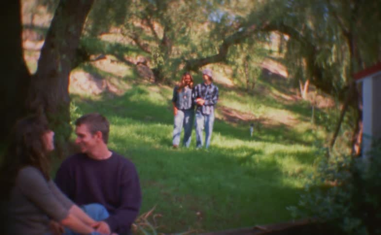 Couple is sitting and talking and two others are walking on the grass