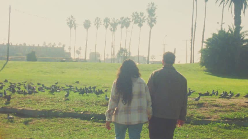 Couple holding hands walking through grassy park with pigeons and palm trees around