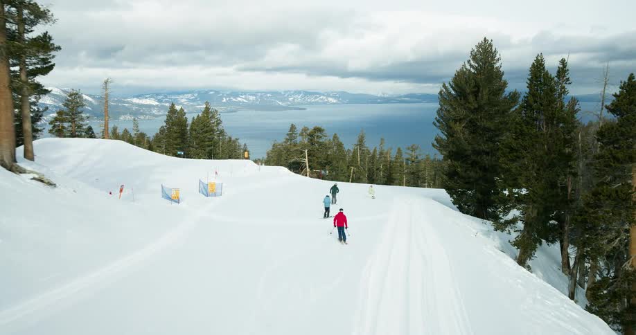 Small group of people skiing across a snow covered forested mountain