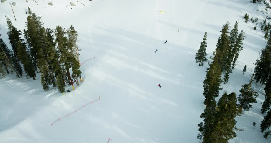 People skiing on a snowcovered mountain surrounded by conifers