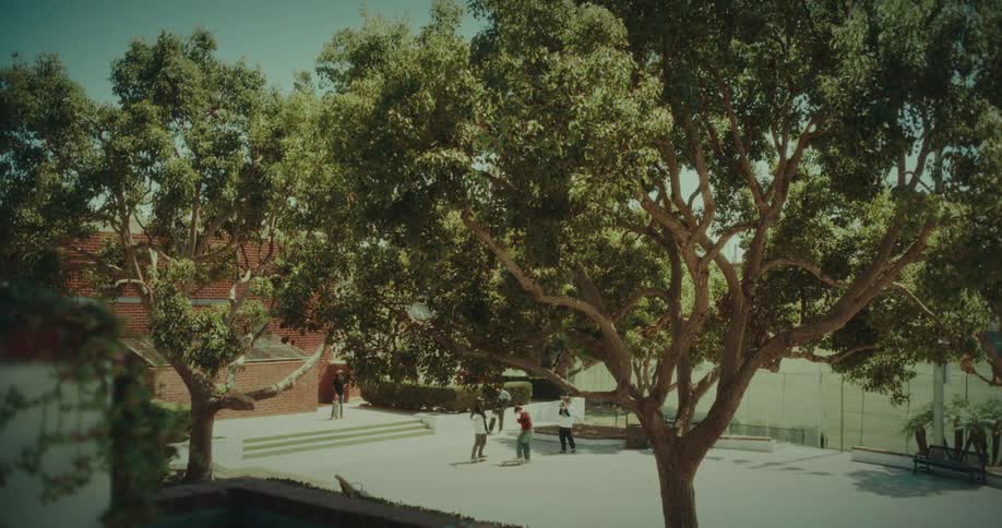 Young boys skateboarding on a concrete surrounded by trees at daytime